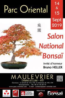 Le Salon national du bonsaï à Maulévrier