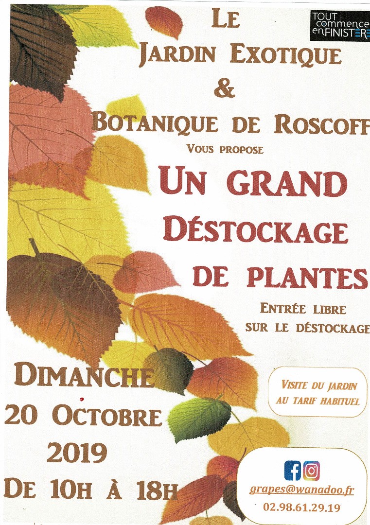 Grand destockage de plantes