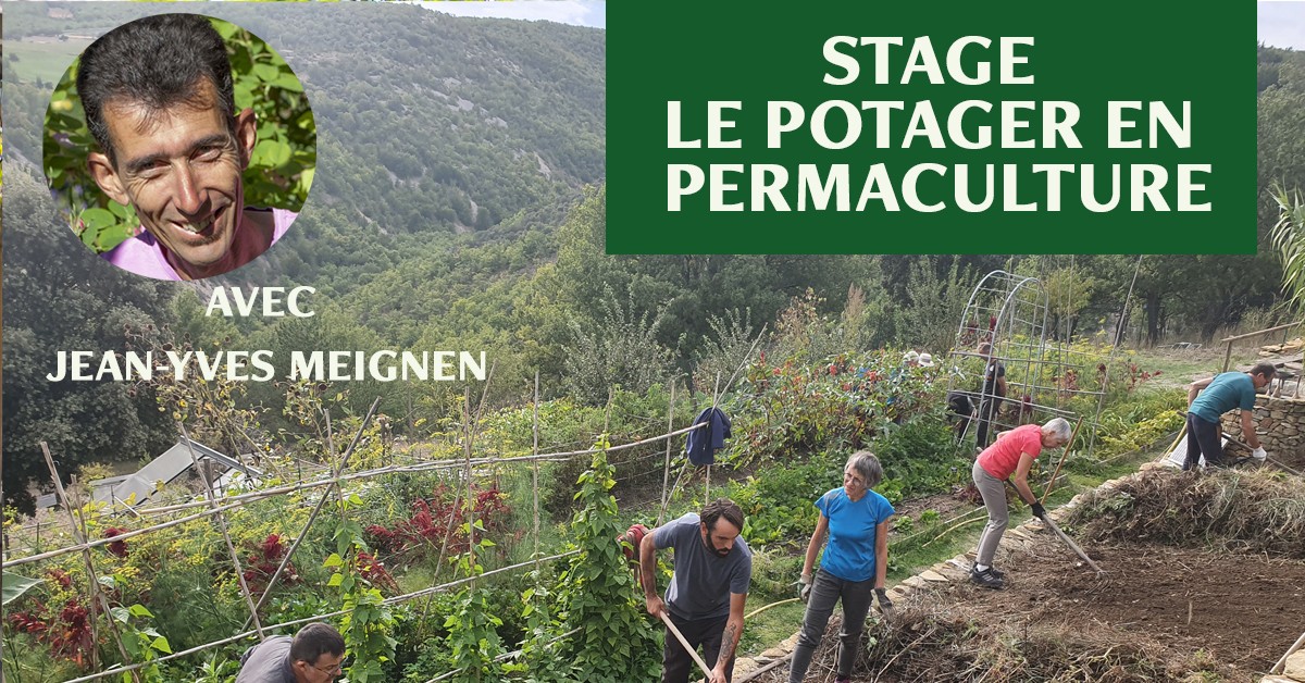 Stage : le potager en permaculture