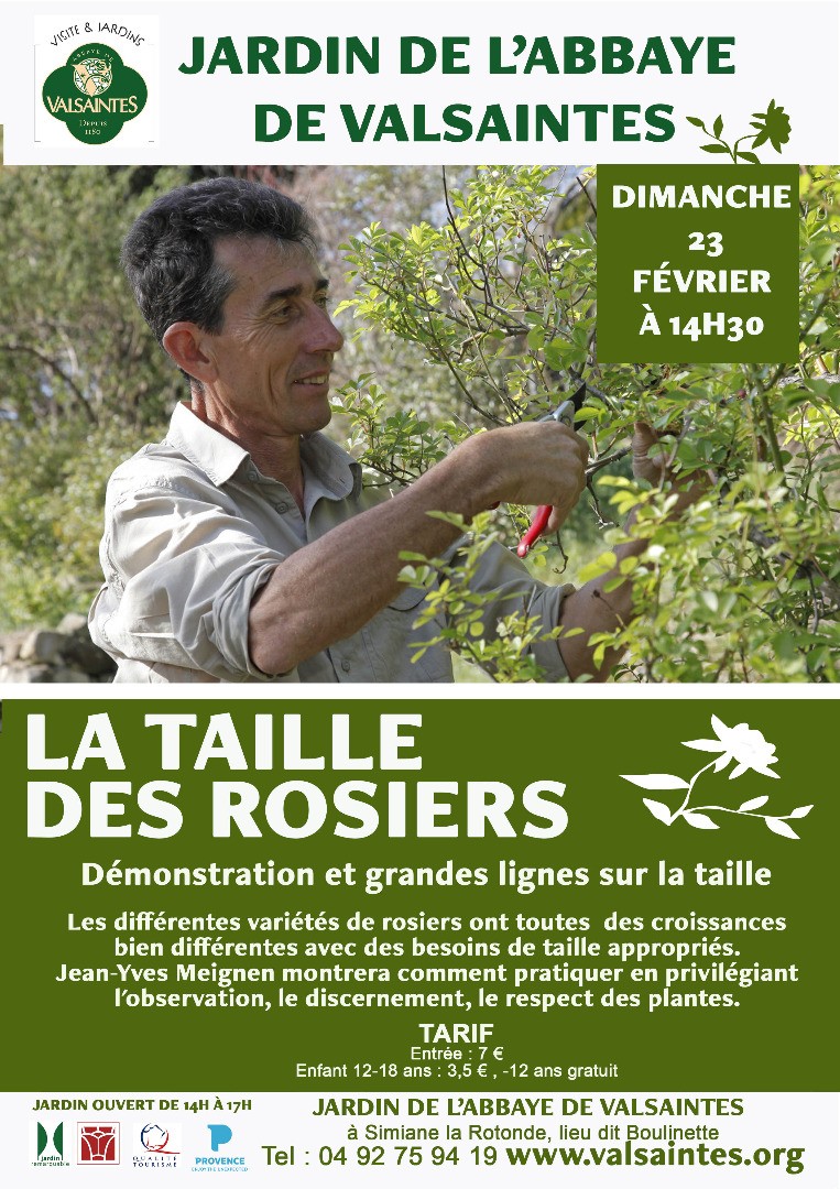 La taille des rosiers