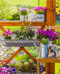 Bien fleurir jardins, terrasses et balcons les mardis ou mercredis du mois de mai