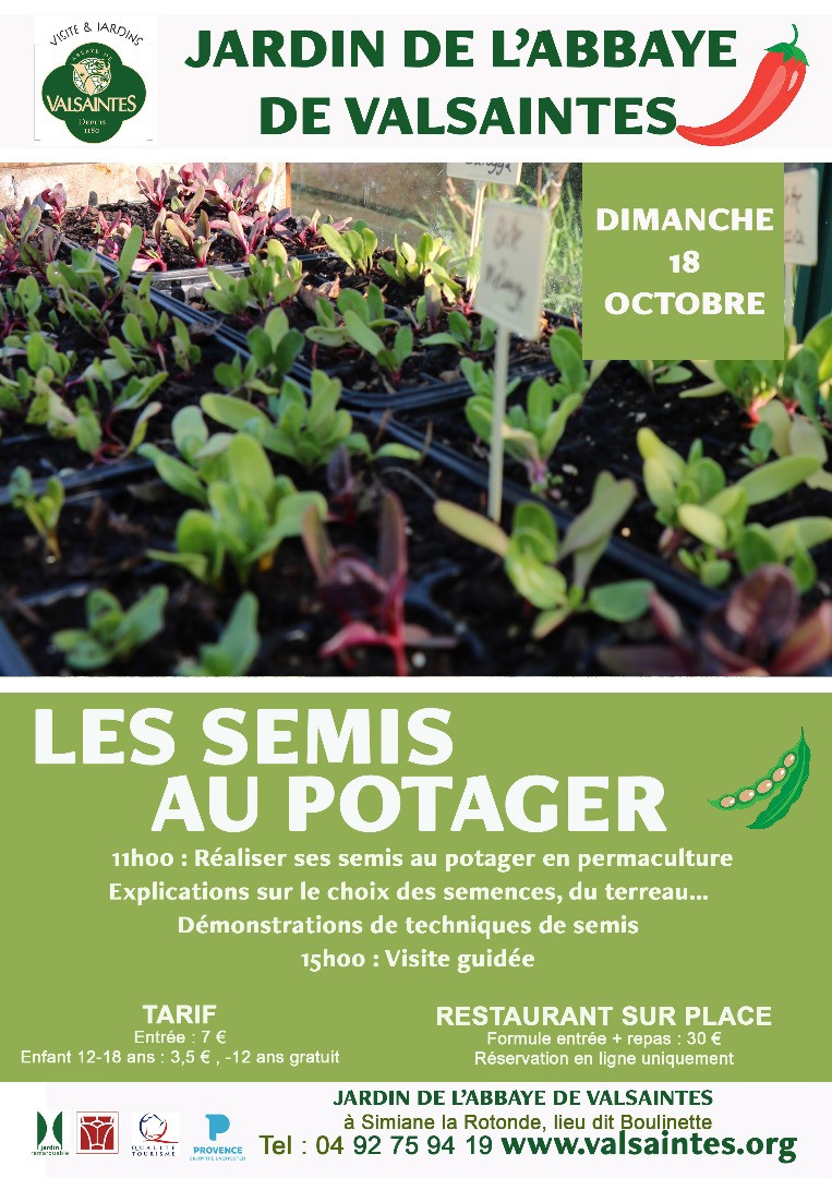 Journée les semis au potager