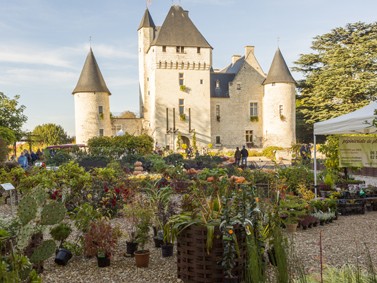 Fête des fleurs d'automne