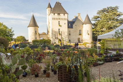 Fête des fleurs d'automne