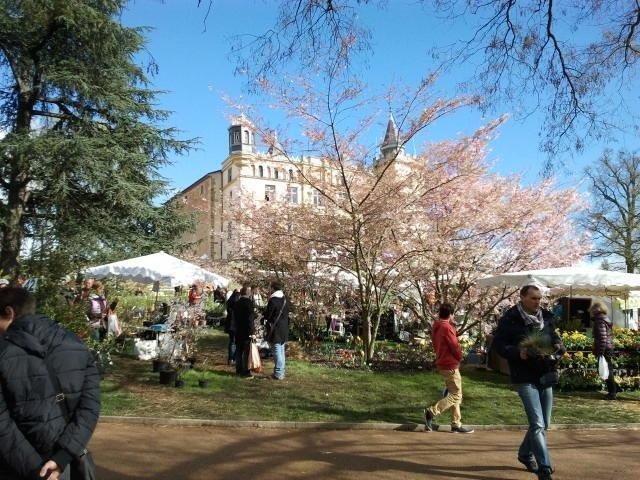 Foire aux Plantes de Saint-Priest - 2021