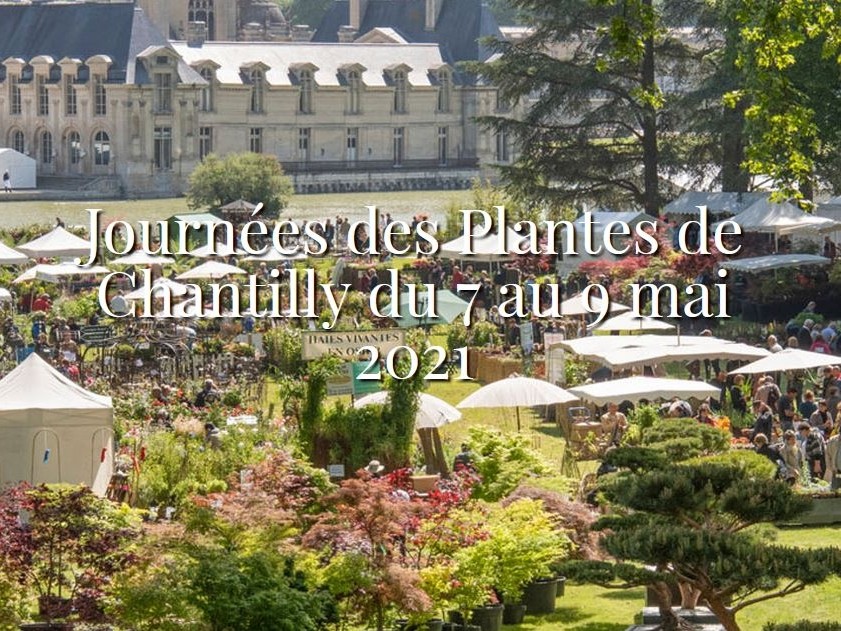 Journées des Plantes de Chantilly mai 2021 : L'Eveil des sens