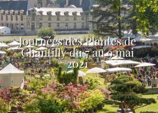Journées des Plantes de Chantilly mai 2021 : L'Eveil des sens