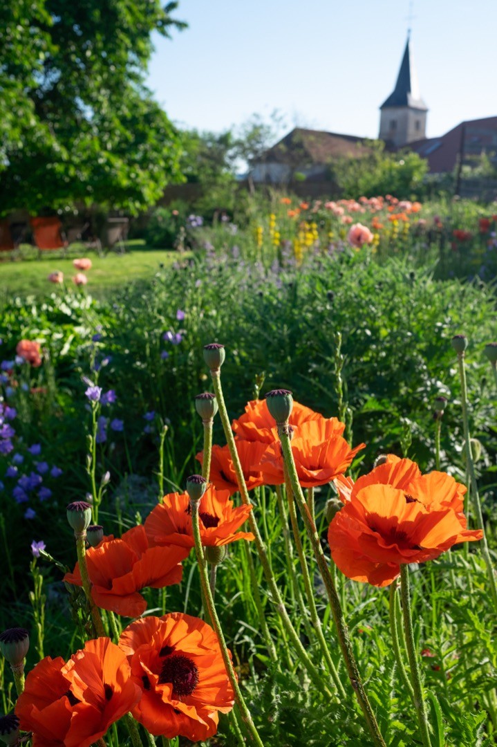 Rendez-Vous aux jardin TEM expo