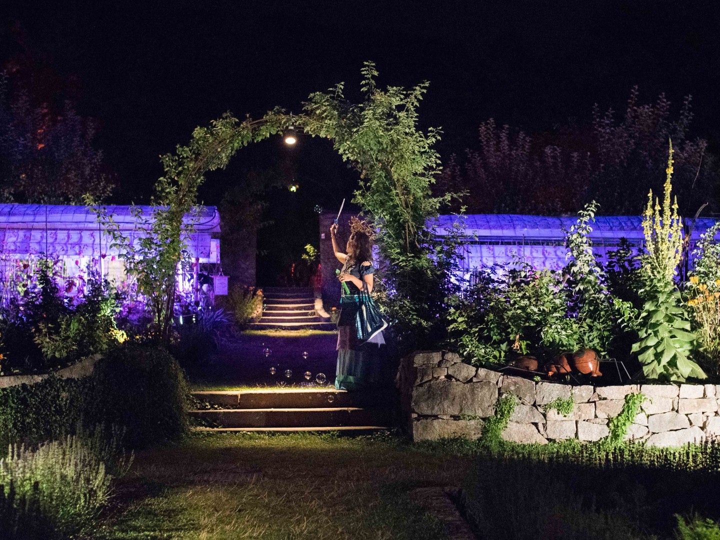 Féeries Nocturnes au Jardin