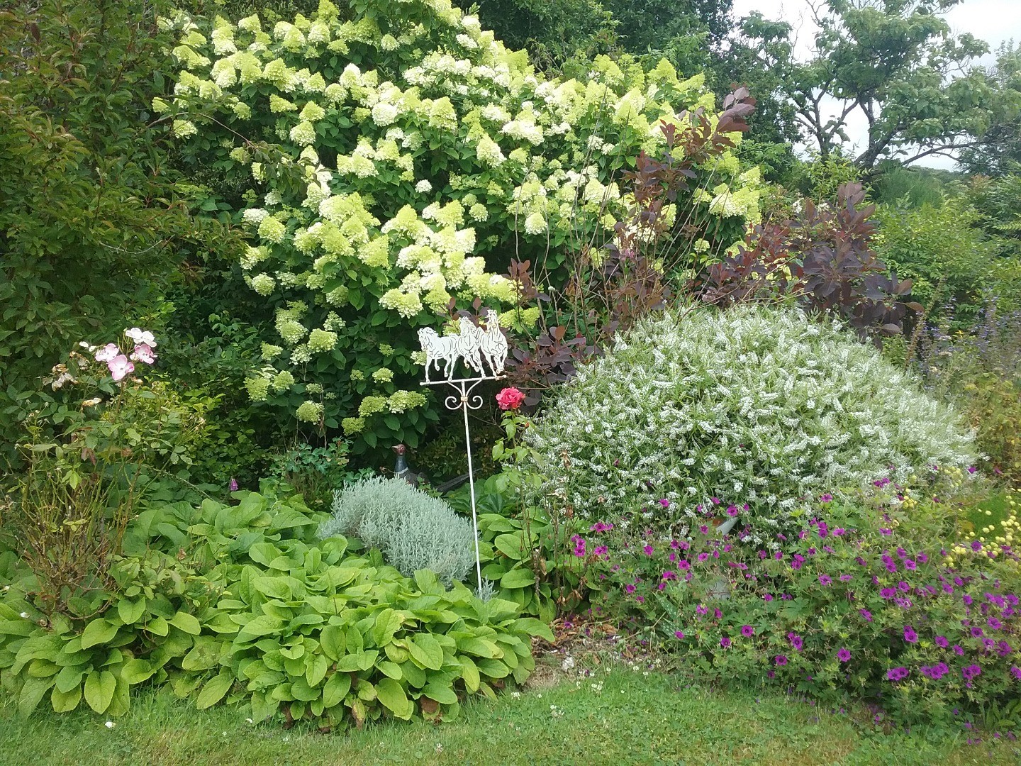 Couleurs d'automne  au jardin