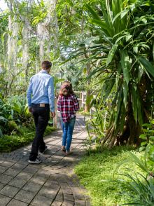 Le Conservatoire botanique ouvre  ses serres tropicales aux vacances de la Toussaint