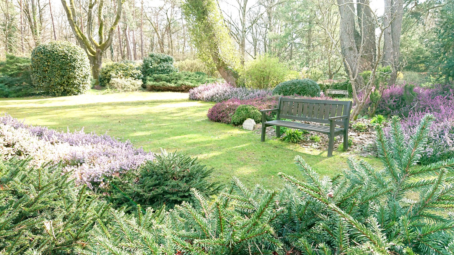 Bienvenue à l'Arboretum