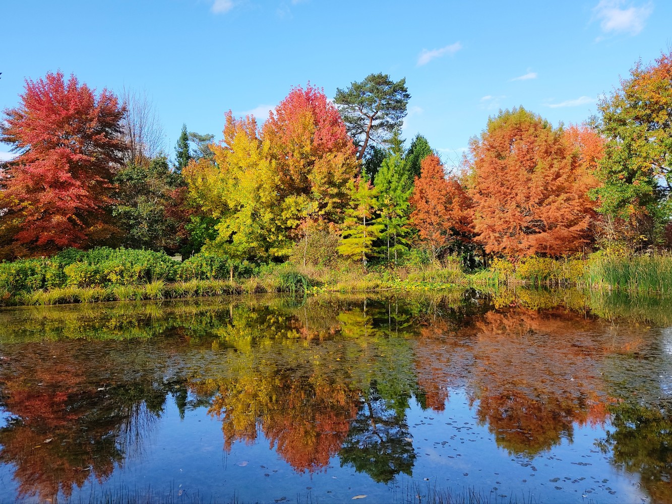 Dimanches d'Automne