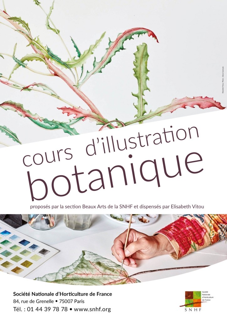 Les cours d'illustration botanique se poursuivent en 2022