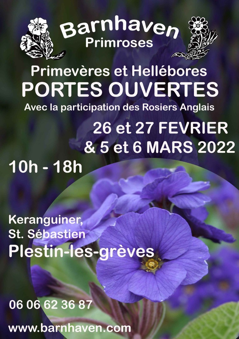 Portes-ouvertes chez Barnhaven Primroses