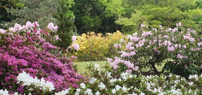 Jardin botanique de Treuscoat