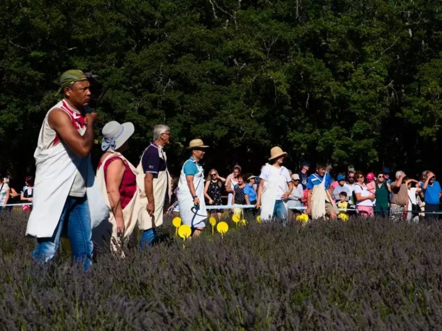 Fête de la lavande 2022 à Valréas