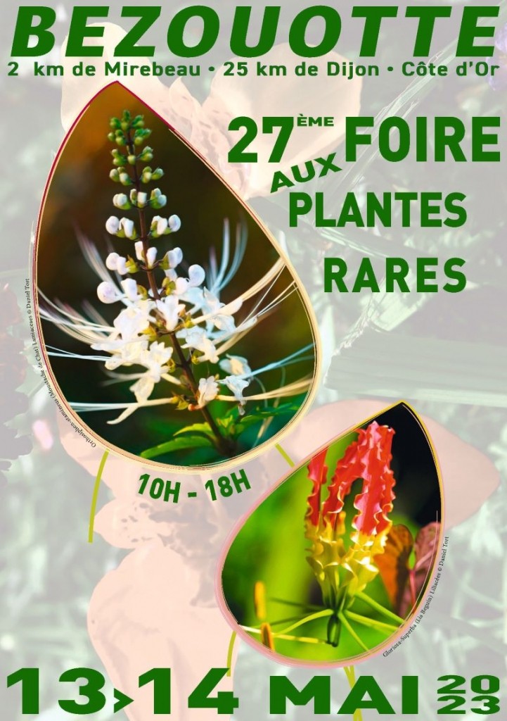 27ème Foire aux plantes rares à  BEZOUOTTE en Côte d'Or
