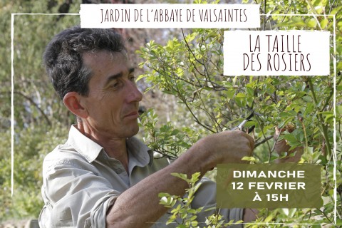 Conférénce  et démonstration : La taille des rosiers