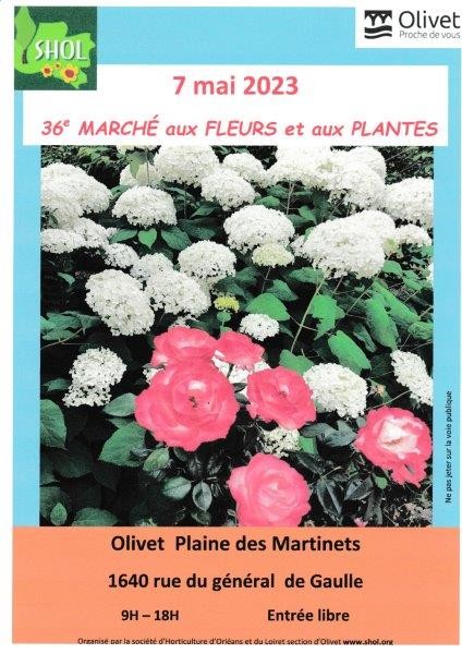 marché aux fleurs et aux plantes