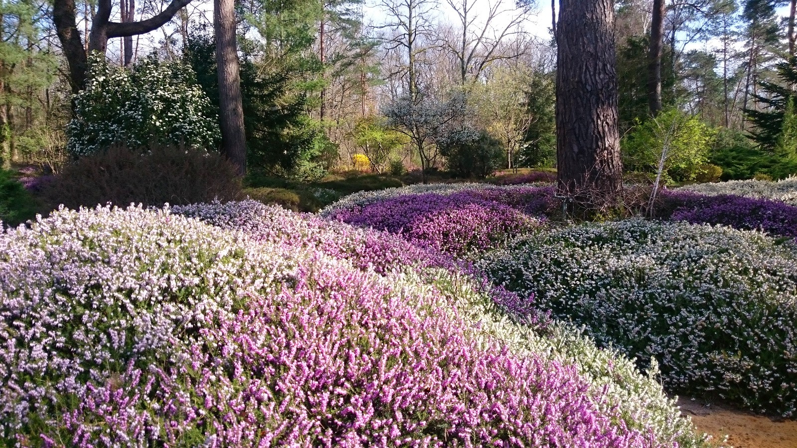 Bienvenue à l'Arboretum