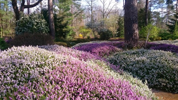 Bienvenue à l'Arboretum
