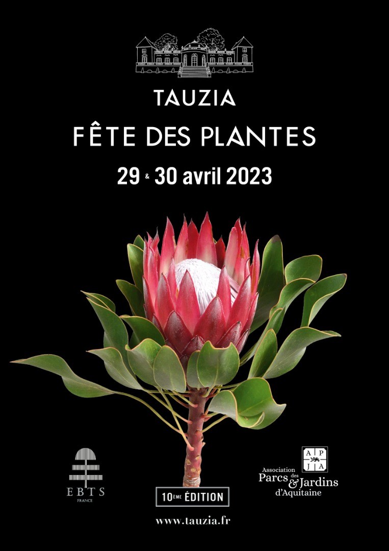 Tauzia Fête les Plantes