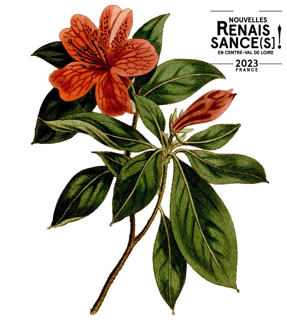 Dessin botanique