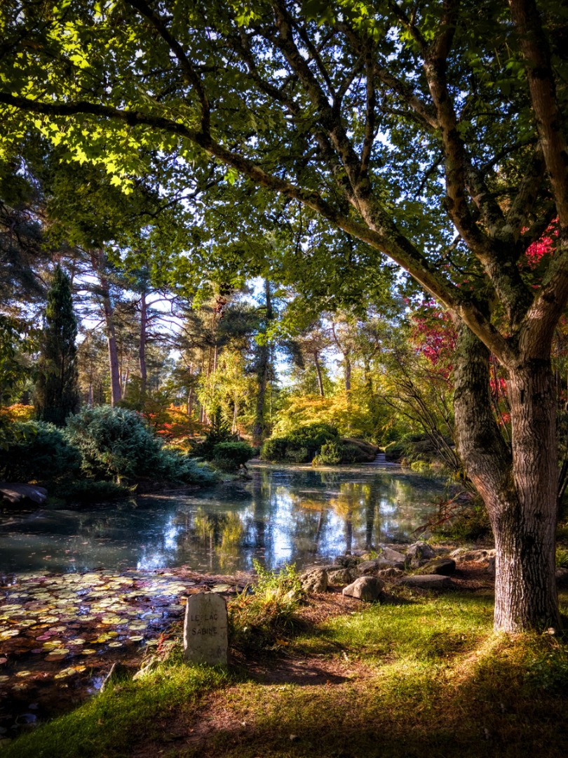 Concours photos "Automne"