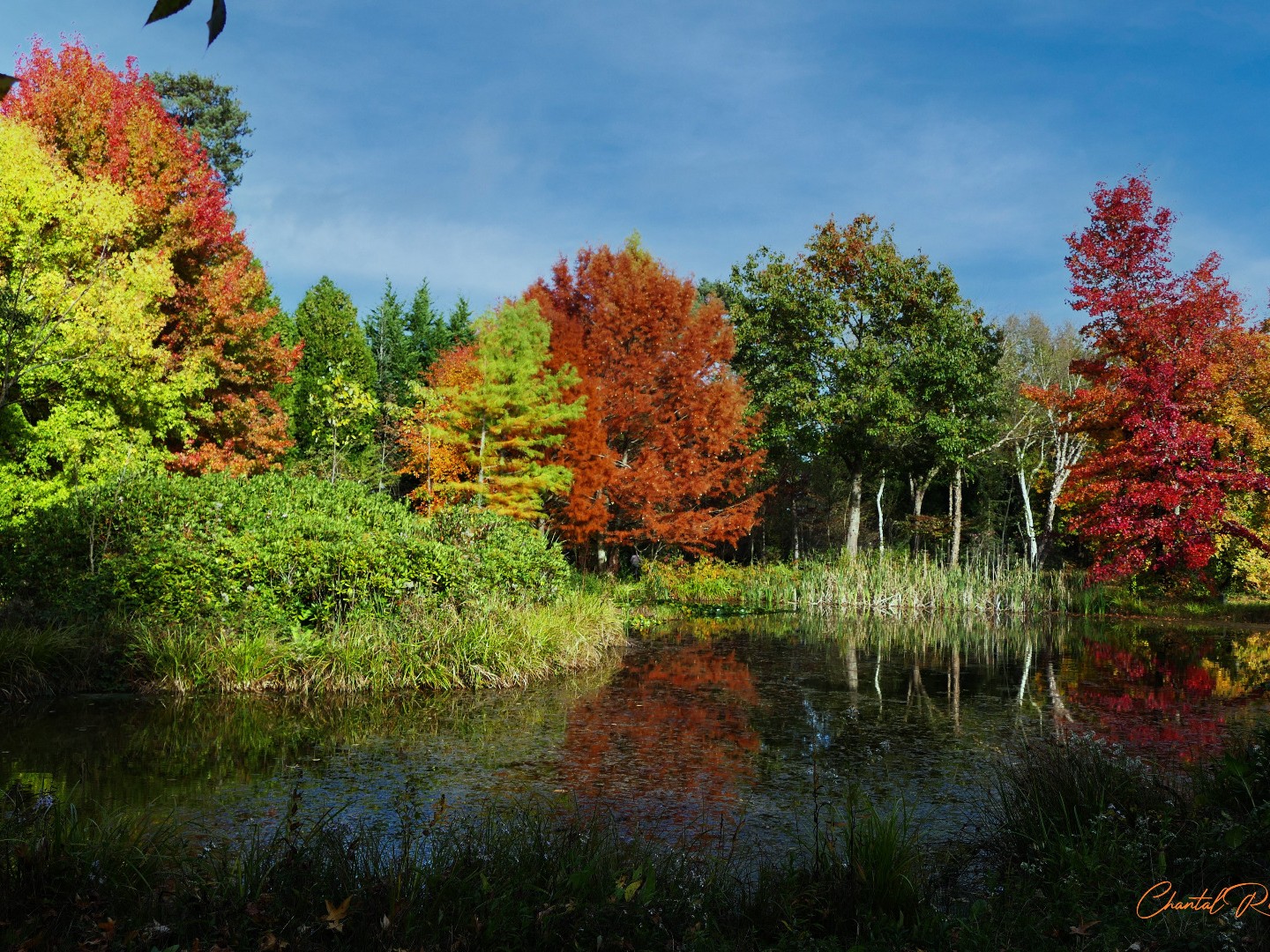 Dimanches d'Automne