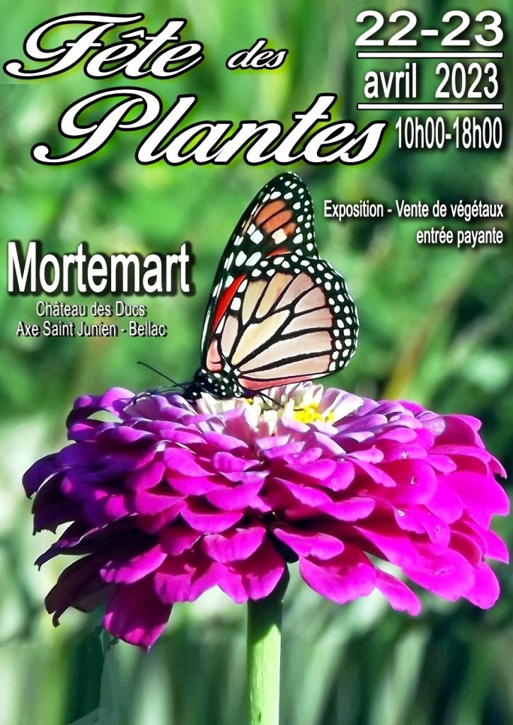 Fête des plantes au château des ducs