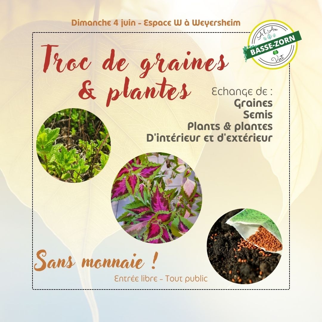 La Basse-Zorn à l’An Vert : troc de graines et plantes