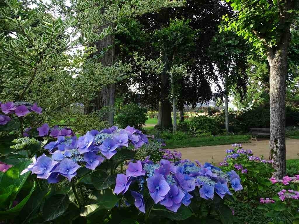 Visites guidées du Parc Ty Coat (Son histoire, sa roseraie)