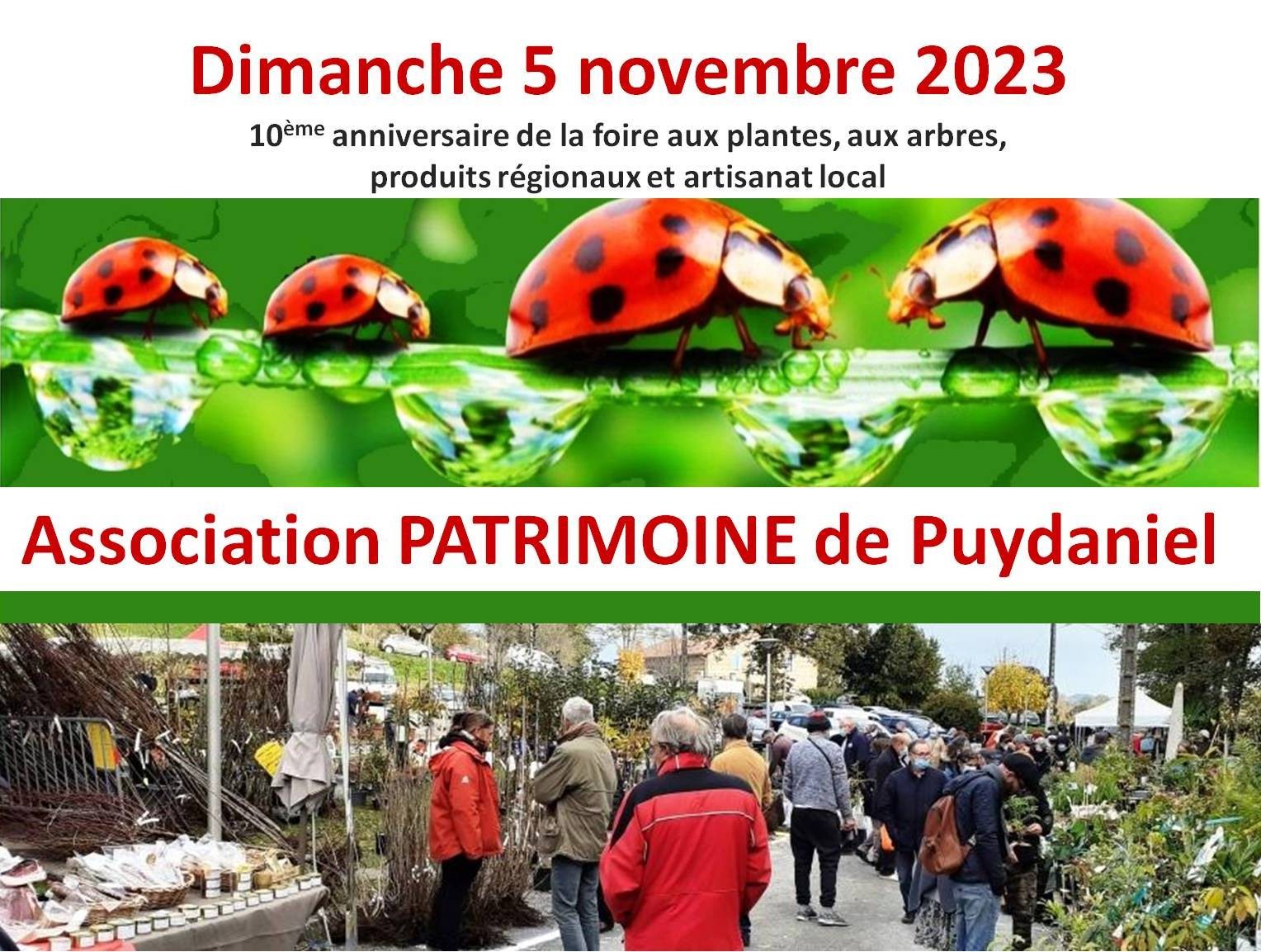 Foire aux plantes et artisanat local