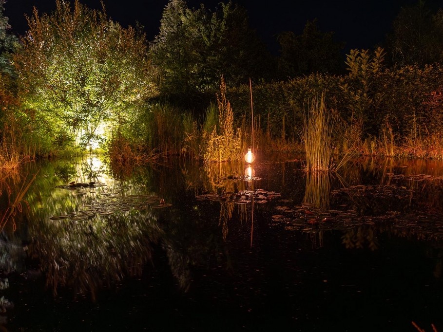 Nocturnes au jardin