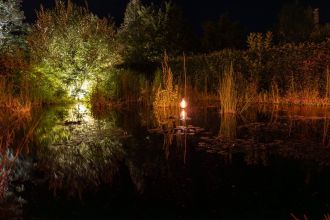 Nocturnes au jardin