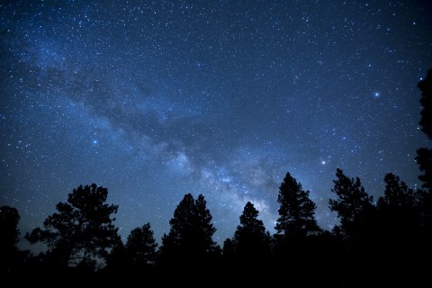 L'Arbo sous les étoiles