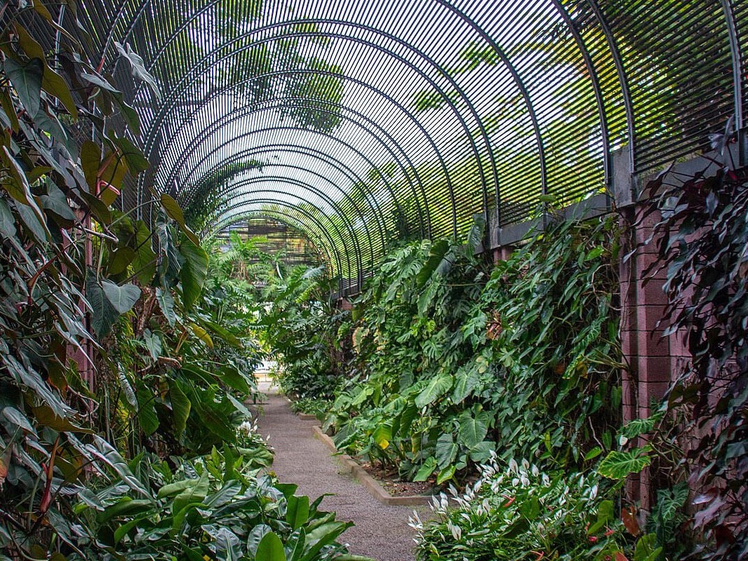 Conférences de l'Institut Européen des Jardins 