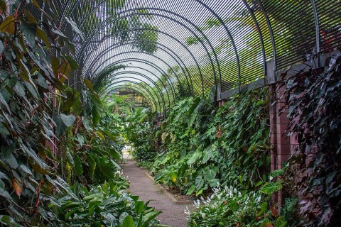 Conférences de l'Institut Européen des Jardins 