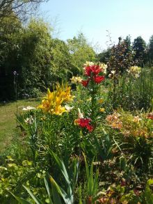 Le jardin arc en ciel sera ouvert  pour les journées  d'automne   le dimanche  29 octobre   de 10h à 17h