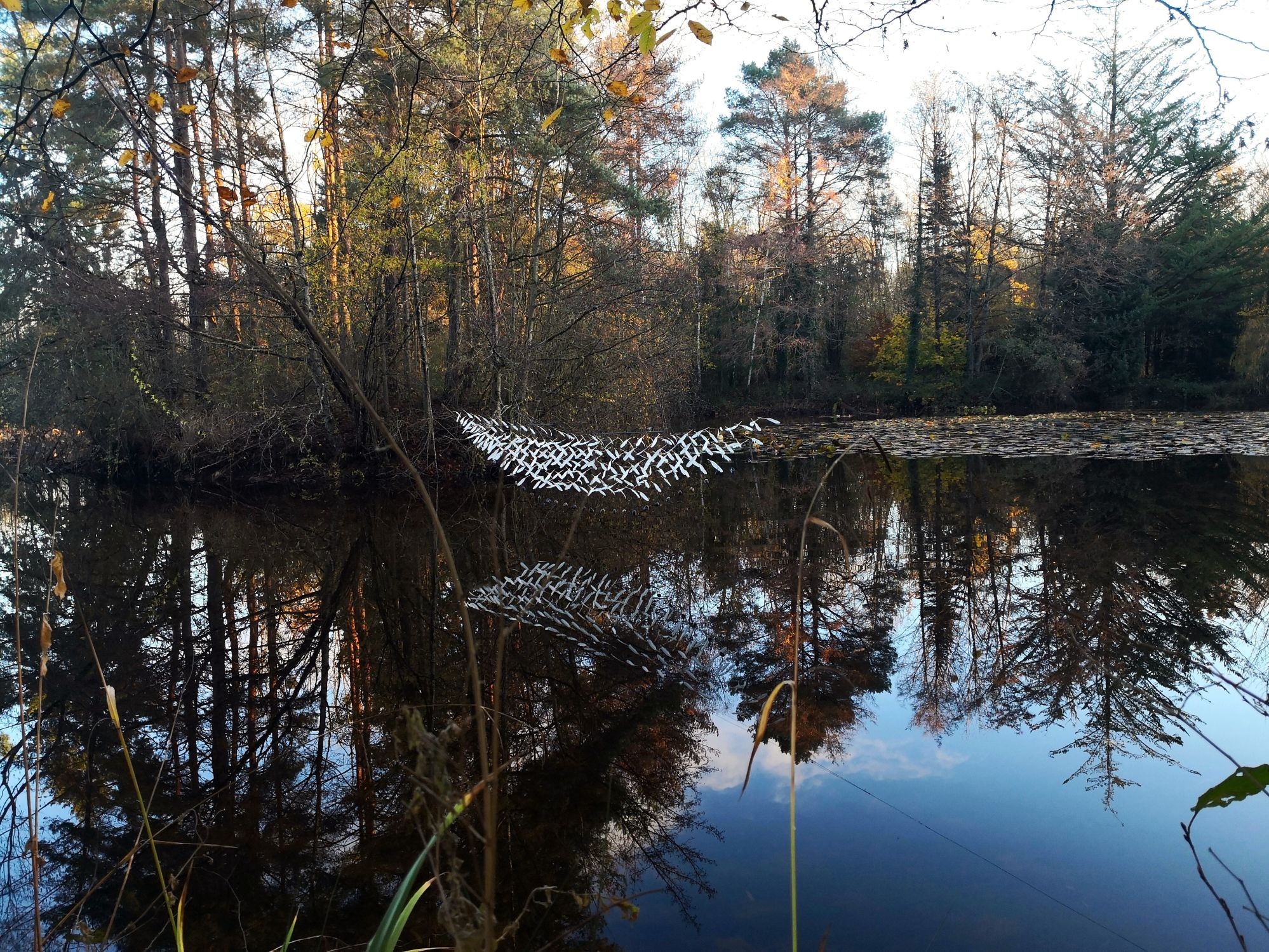 Étangs d'art - installation artistique plein air