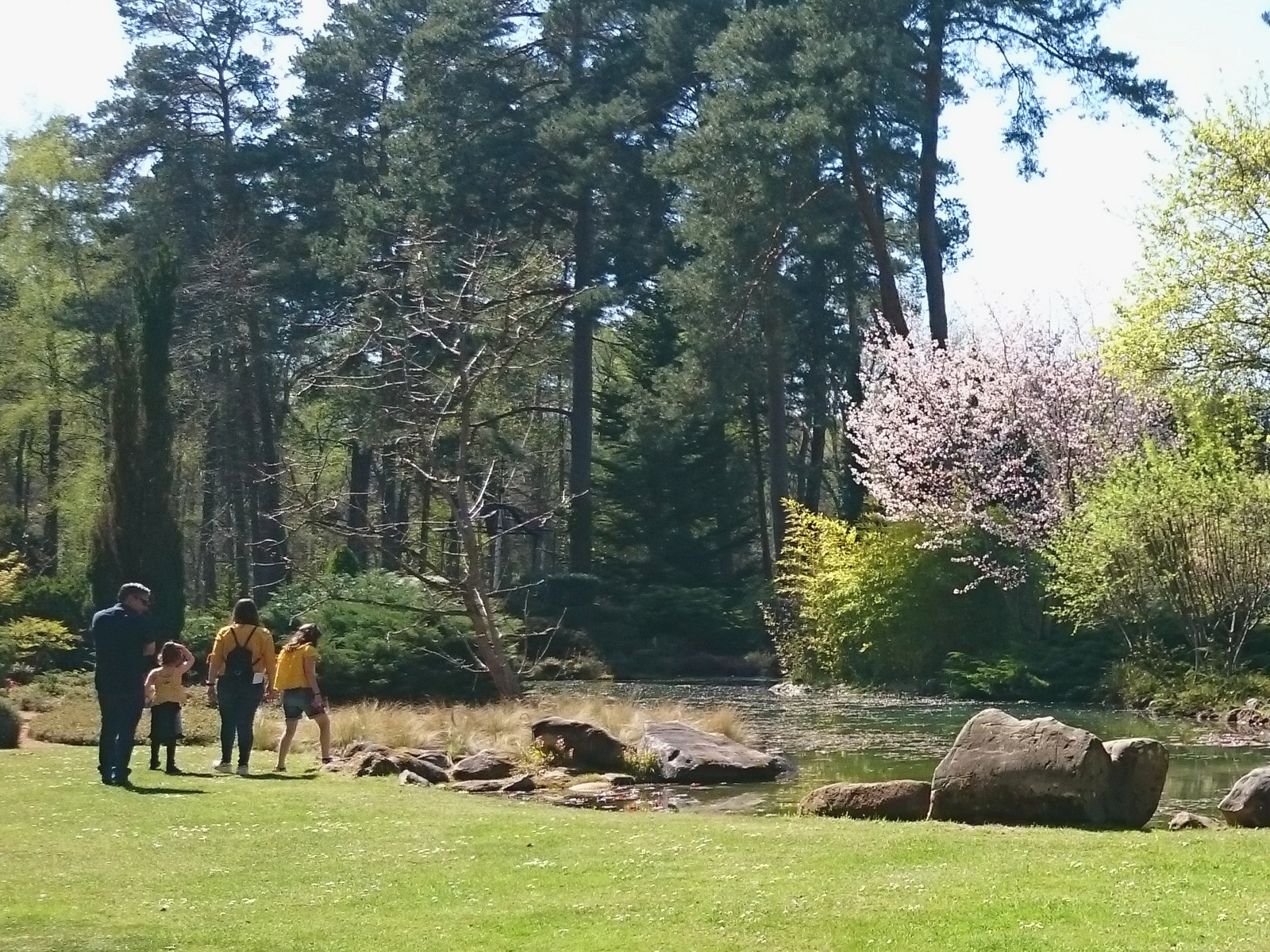 Bienvenue à l'Arboretum