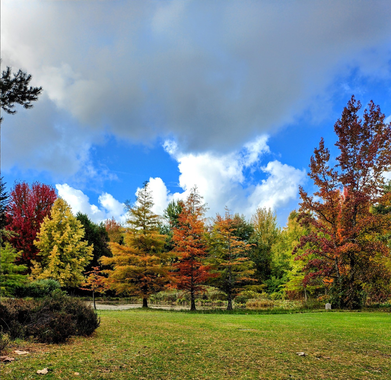 Dimanches d'Automne