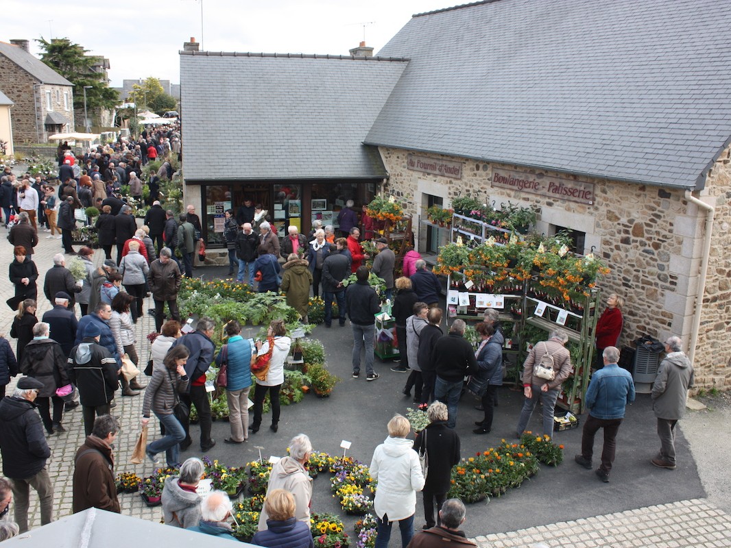 BOURSE / TROC AUX PLANTES