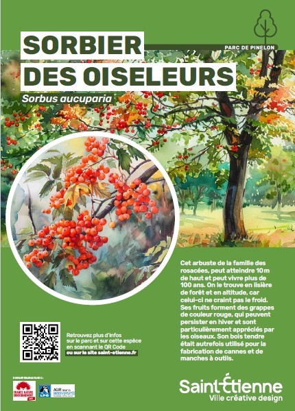 RENDEZ VOUS AUX JARDINS