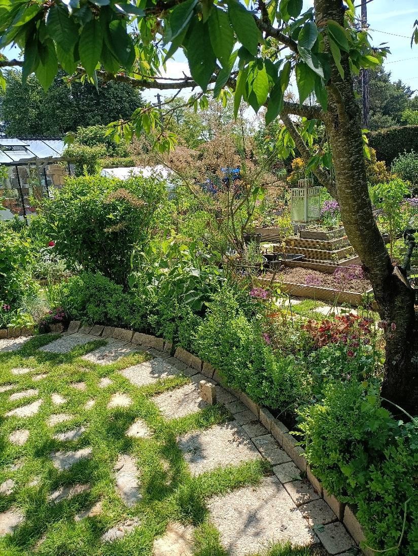 Bienvenue dans mon jardin au Naturel