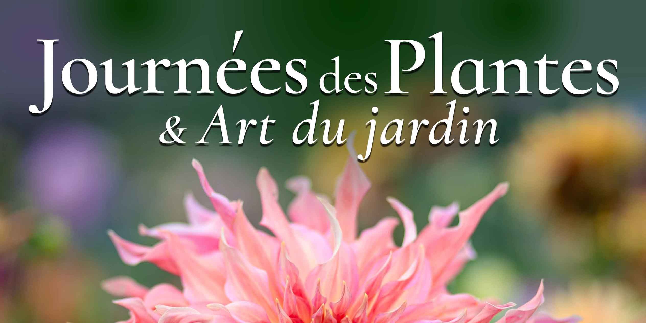Journées des Plantes et Art du Jardin au Château de Jossigny - Edition d'automne 4 