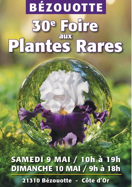 30ème FOIRE AUX PLANTES RARES BEZOUOTTE Côte d'Or