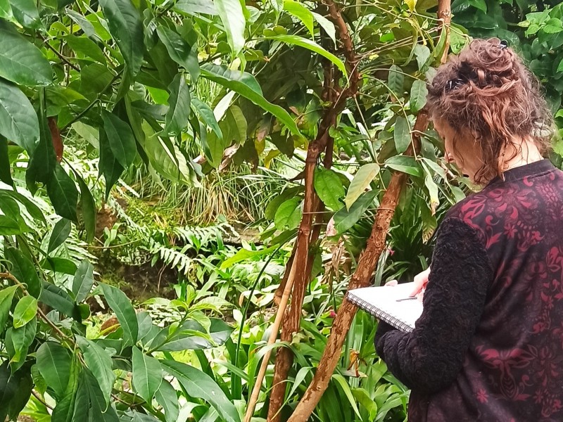 Stage méthodes et techniques du dessin botanique