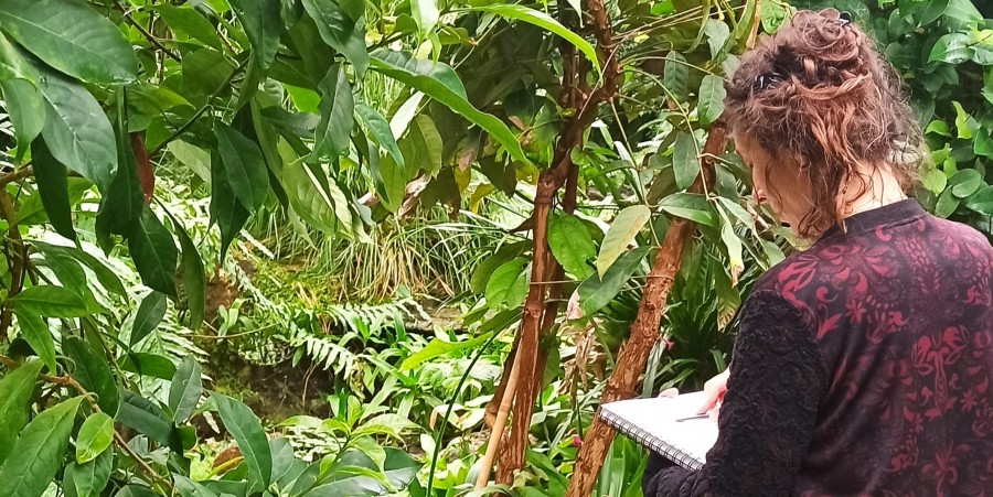 Stage méthodes et techniques du dessin botanique